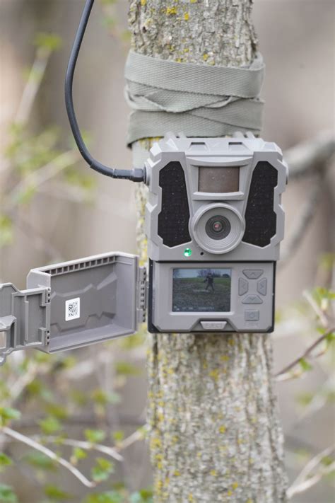 reveal trail camera|reveal cellular trail cameras.